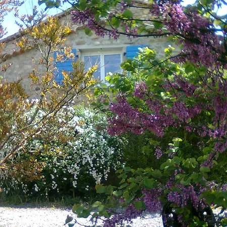 Holiday home La Nichoule *