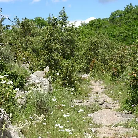 Holiday home La Nichoule